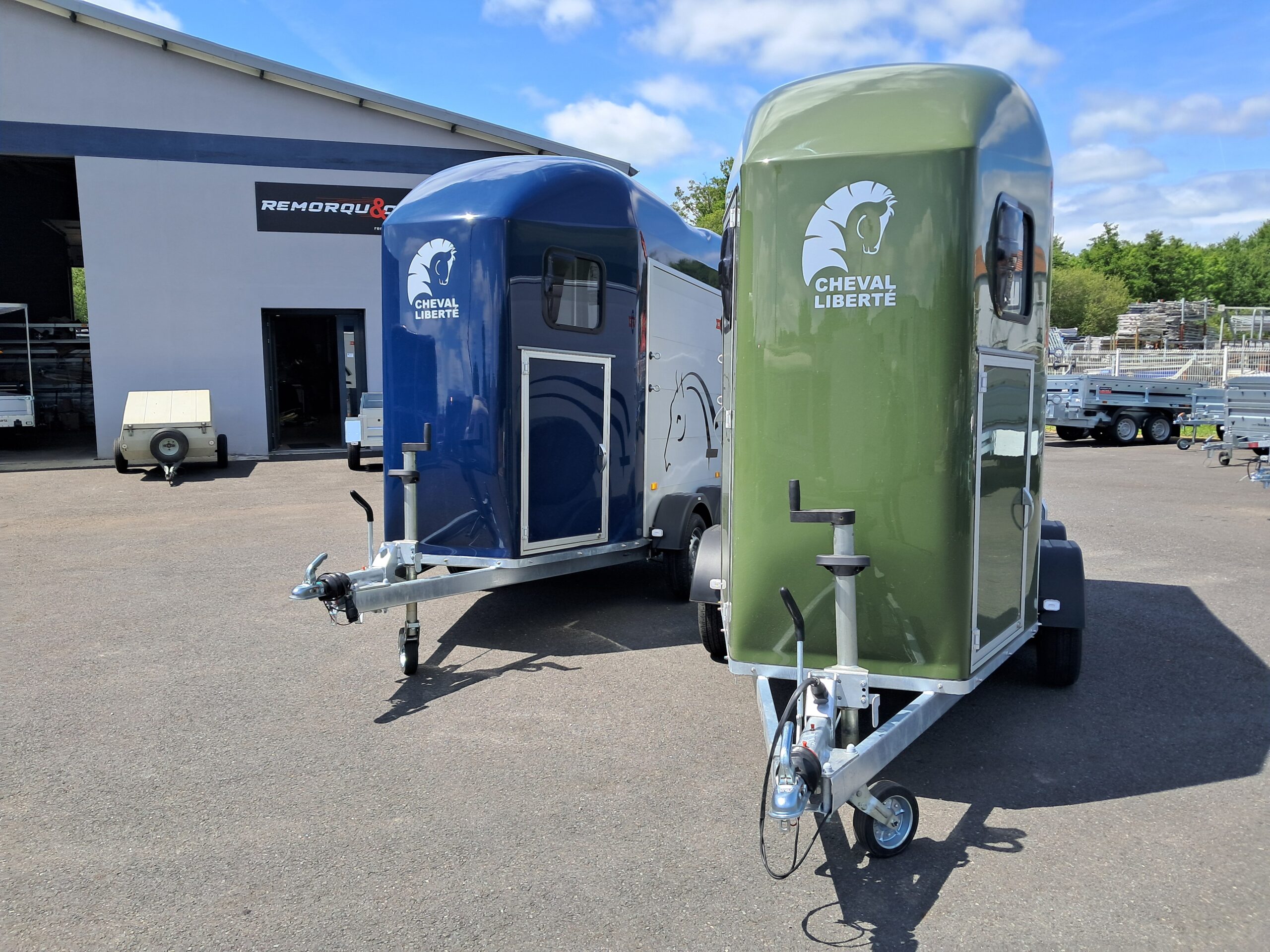 Remolque Gold Origins 2 plazas - Imagen 2