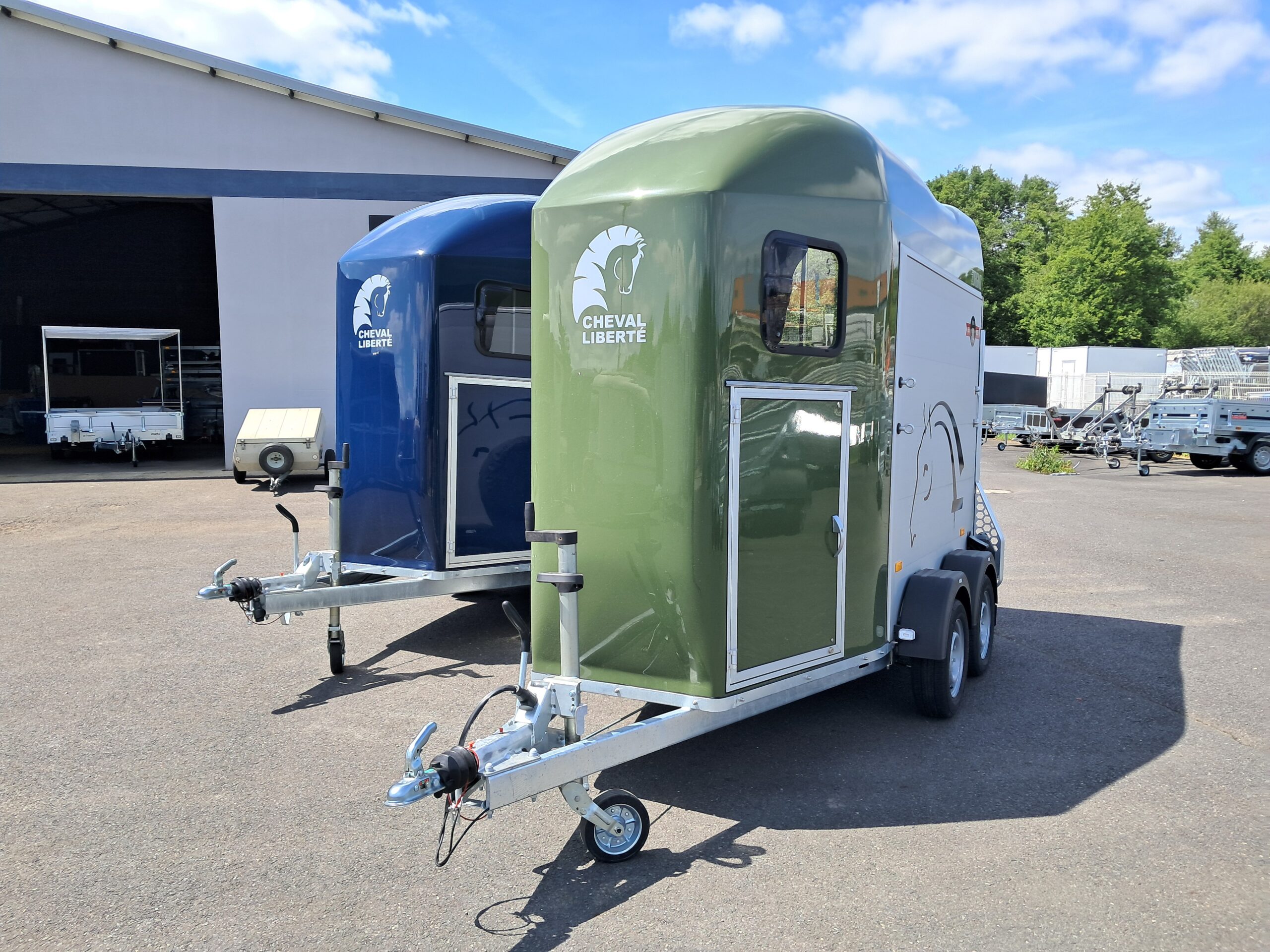 Remolque Gold Origins 2 plazas - Imagen 3