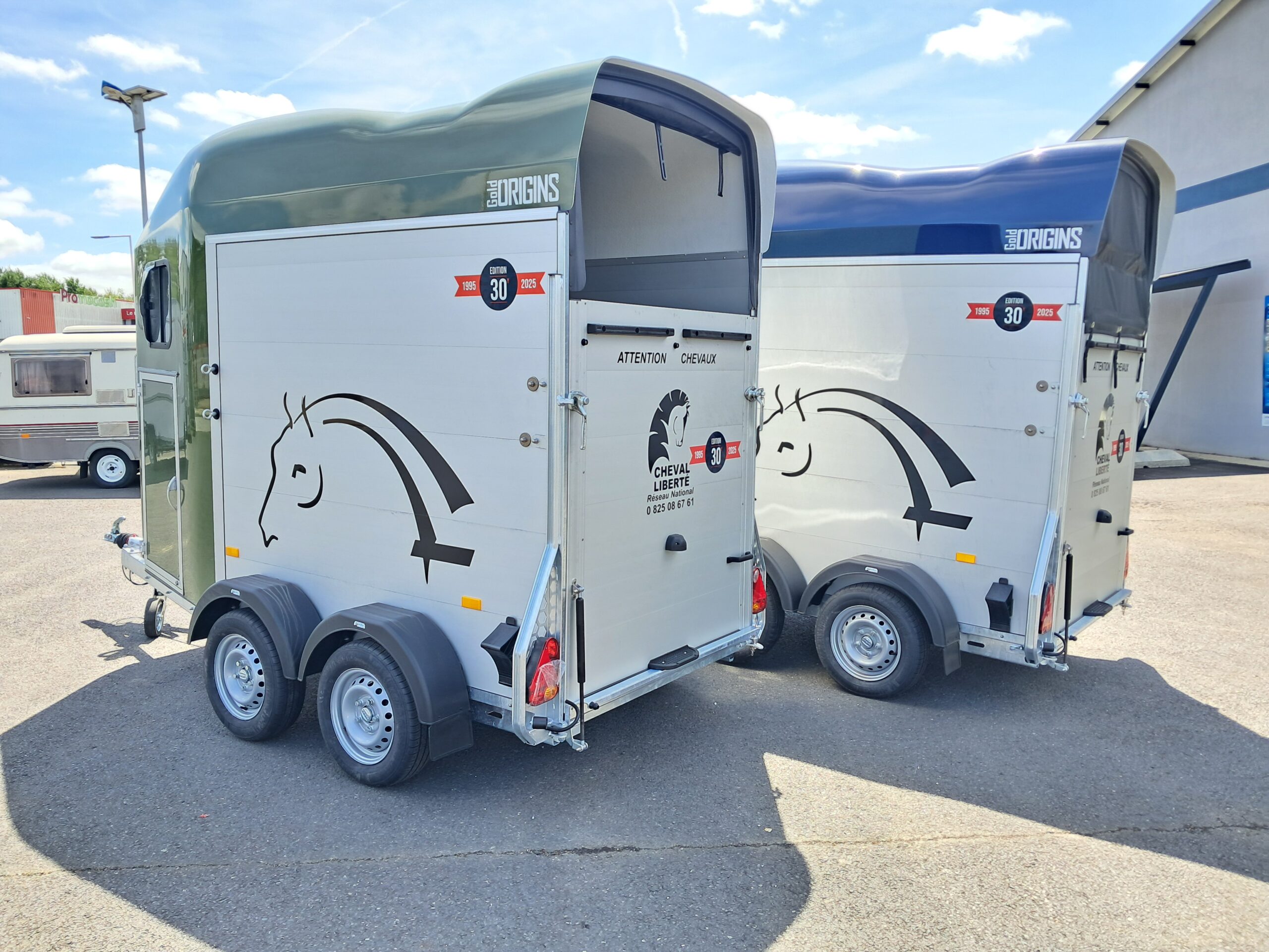 Remolque Gold Origins 2 plazas - Imagen 6