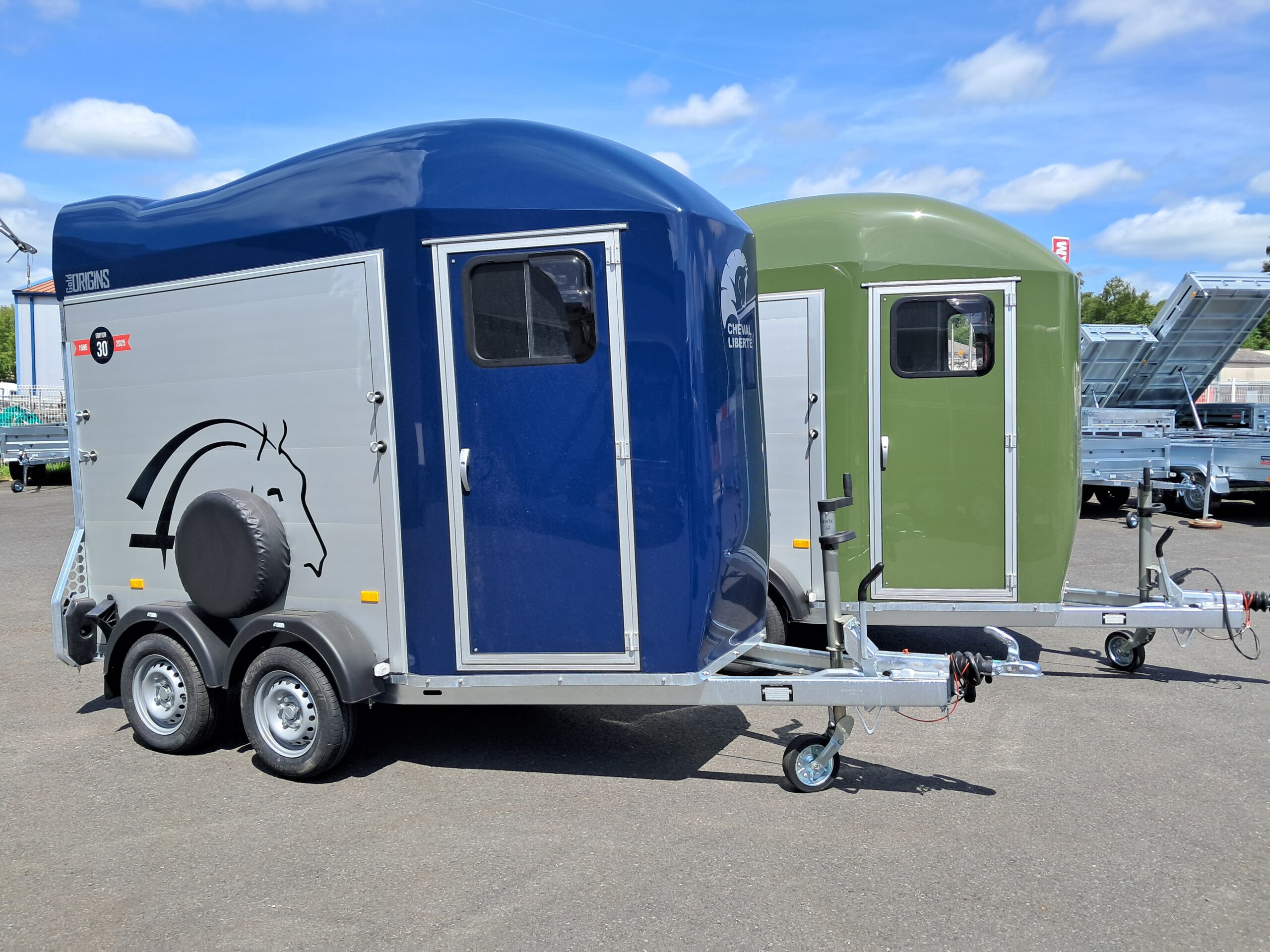 Remolque Gold Origins 2 plazas - Imagen 8