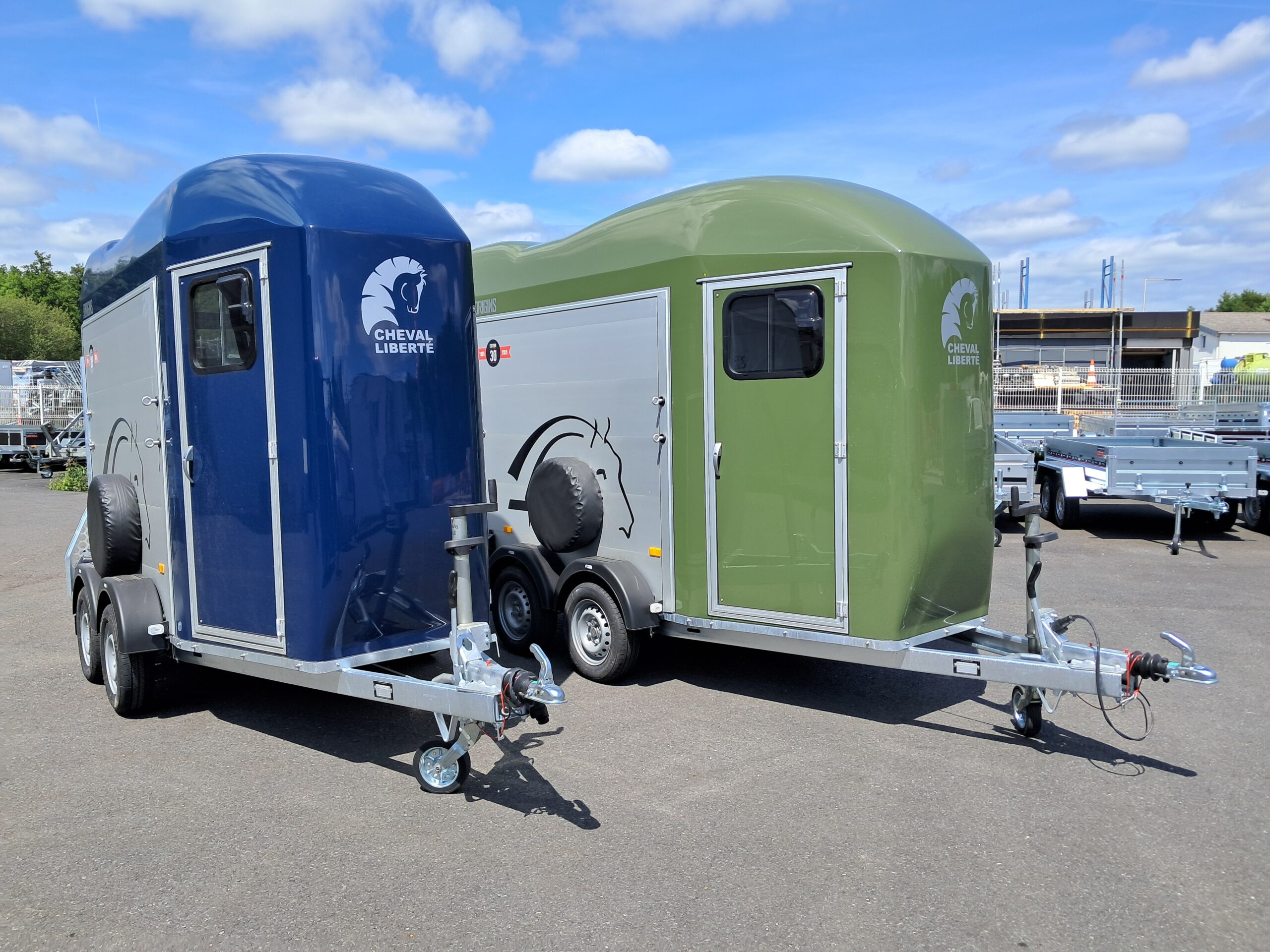 Remolque Gold Origins 2 plazas - Imagen 9