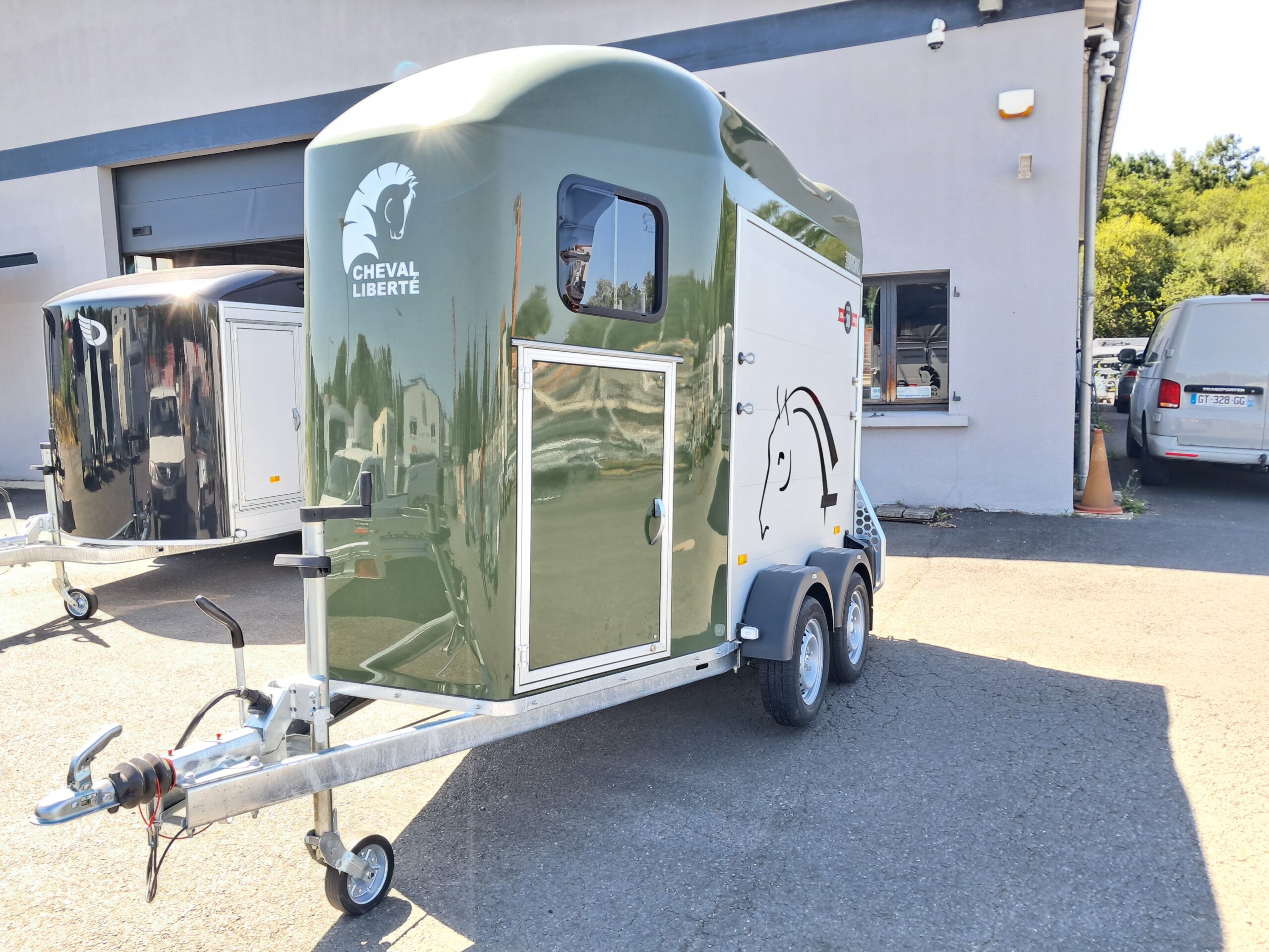 Remolque Gold Origins 2 plazas - Imagen 12